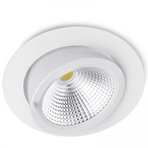 DL31 Adjustable LED Downlights